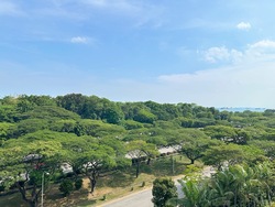 Seaside Residences (D15), Apartment #537524191